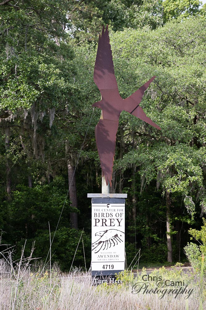 The Center for Birds of Prey Charleston(2023)